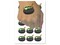 Witch's Bubbling Cauldron Magic Halloween Temporary Tattoo Water Resistant Fake Body Art Set Collection (1 Sheet)